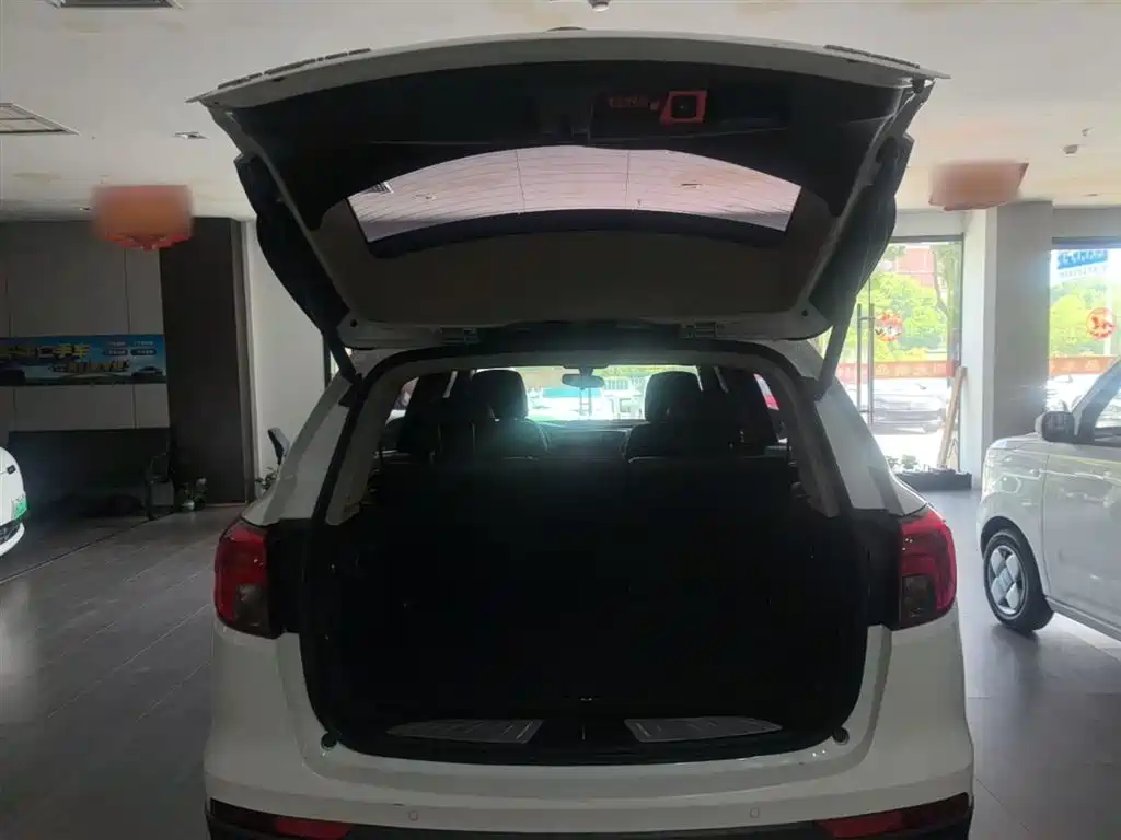 Buick Envision Plus 2017 20T 2WD Luxury фото 19