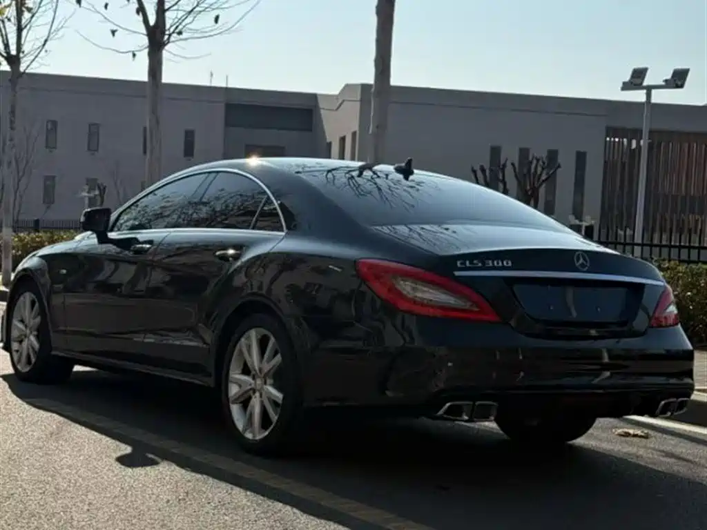 Mercedes-Benz CLS 2012 CLS 300 CGI фото 7