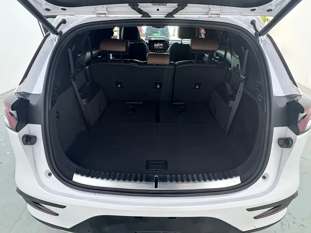 BYD Tang New Energy 2021 DM 2.0T AWD High Performance Premium фото 14