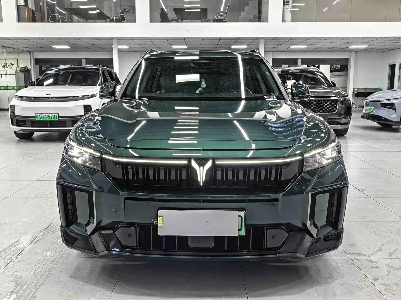 Voyah Auto VOYAH FREE 2025 318 318km RWD Touring Edition фото 2