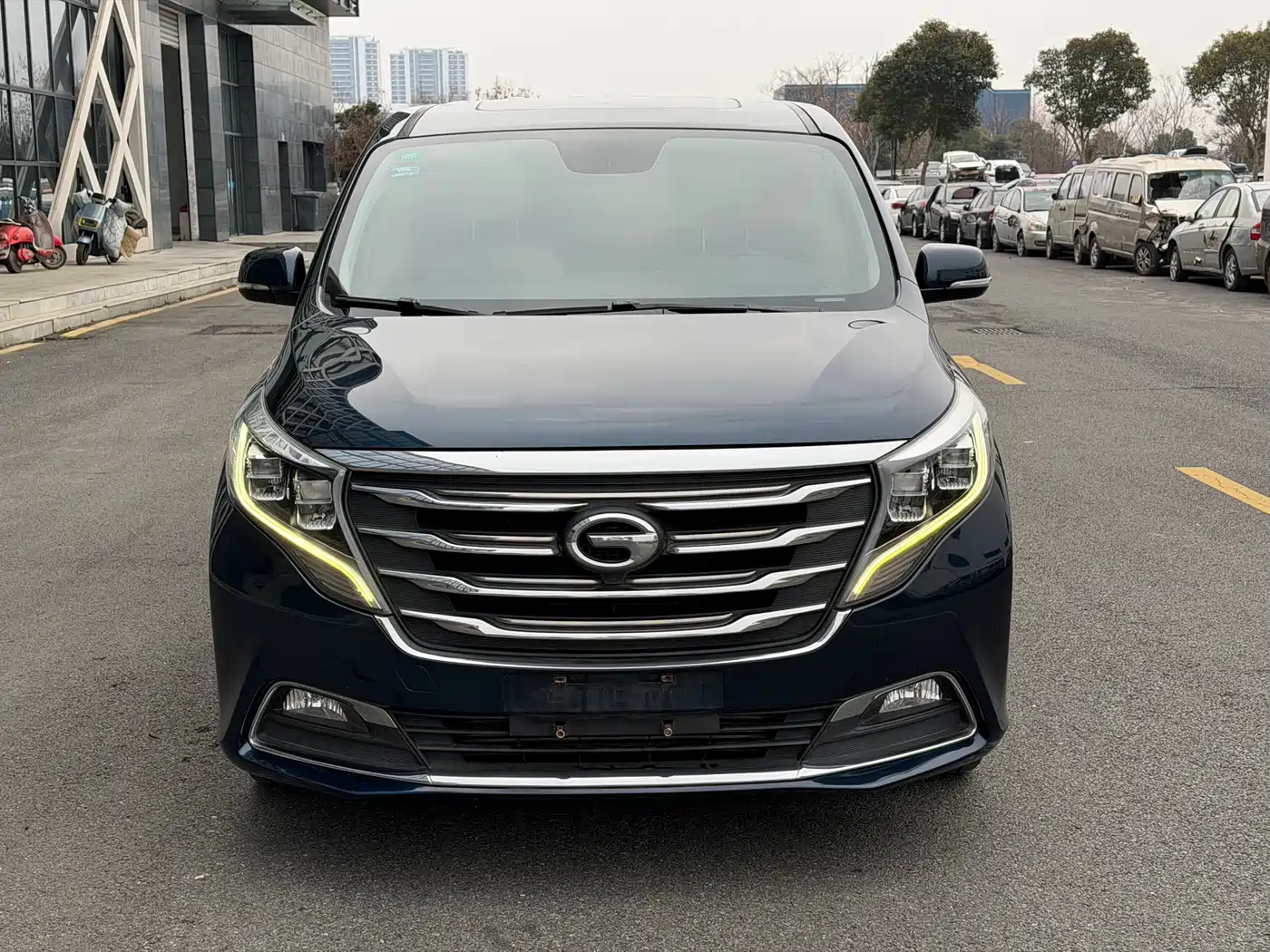 GAC Trumpchi Trumpchi M8 2018 320T Premium Edition фото 2