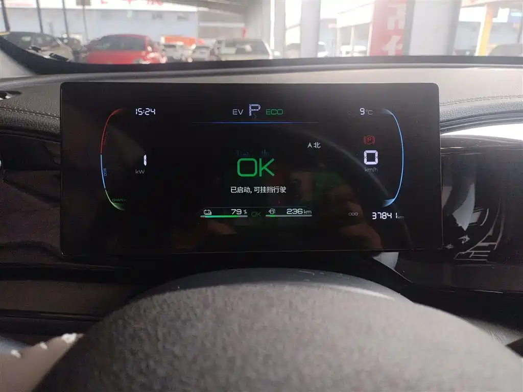 BYD Qin PLUS 2023 Champion Edition DM-i 55KM Leading фото 12