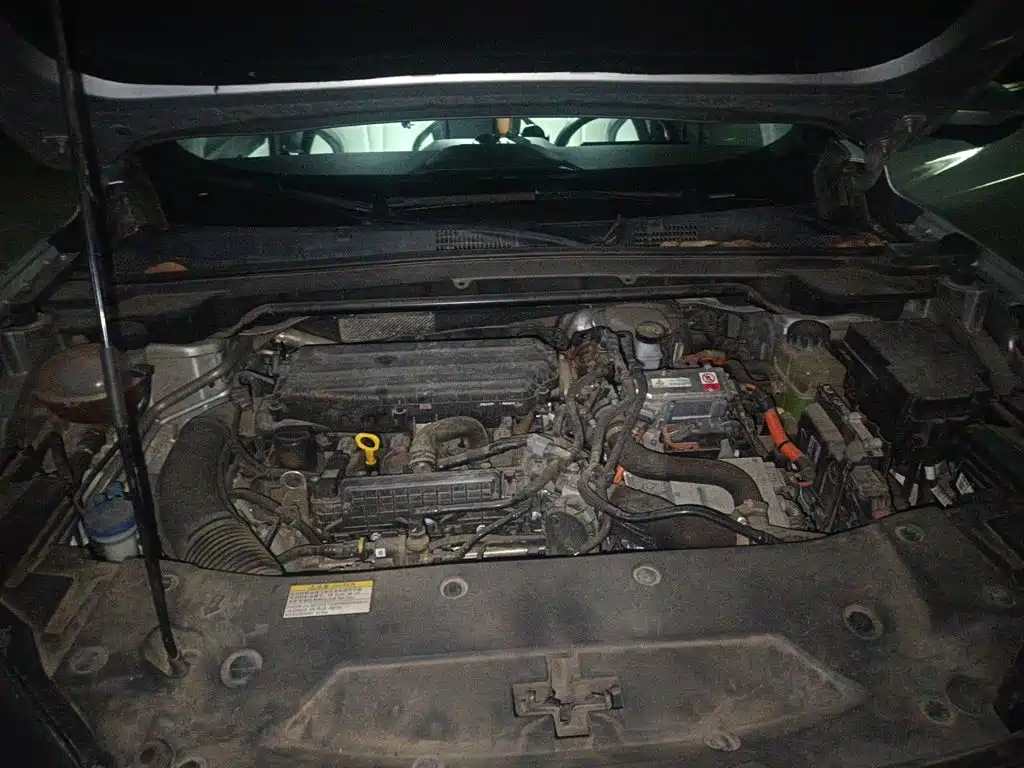 Dongfeng Aeolus Haohan 2024 2023 DH-i 1.5T Premium Edition