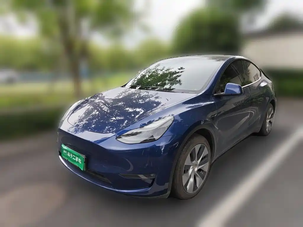 Tesla Model Y 2021 Model Long Range AWD