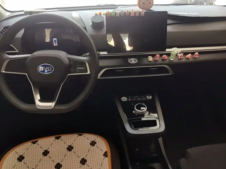 BYD e2 2020 2020 Upgrade Standard Range Standard Model