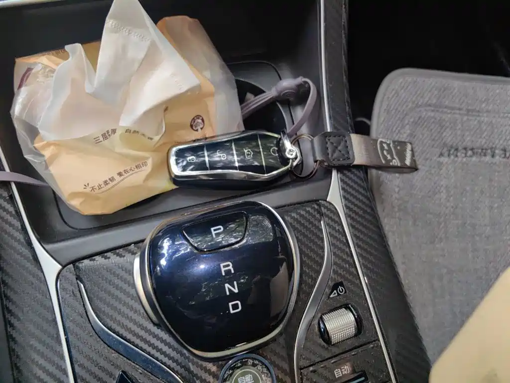 BYD Qin PLUS 2021 DM-i 55KM Flagship фото 15