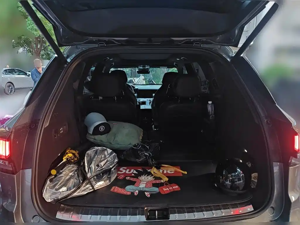Lynk & Co 09 EM-P 2021 2.0T PHEV Halo 6-seater фото 20