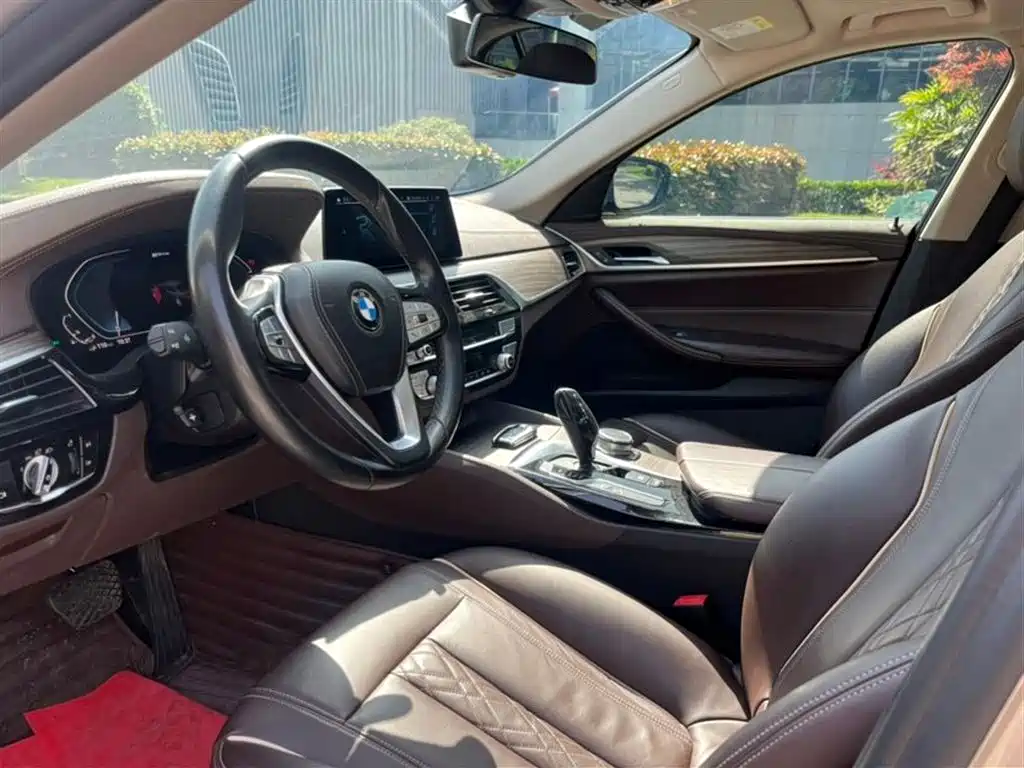 BMW 5 Series New Energy 2020 530Le Luxury Package фото 5