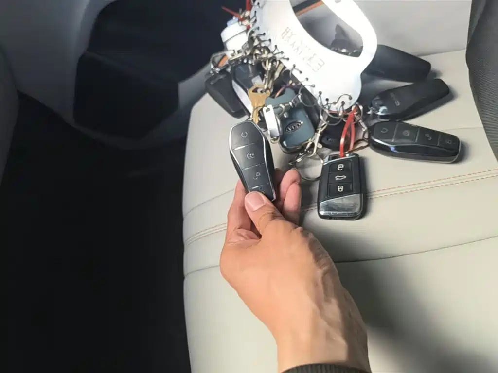 BYD Song PLUS PHEV 2024 Glory Edition DM-i 110km Flagship фото 9