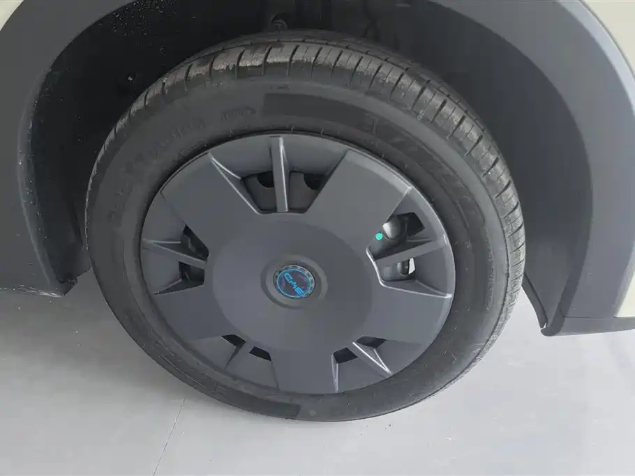 BYD Seagull 2025 Smart Drive Edition 305km Vitality Version фото 6