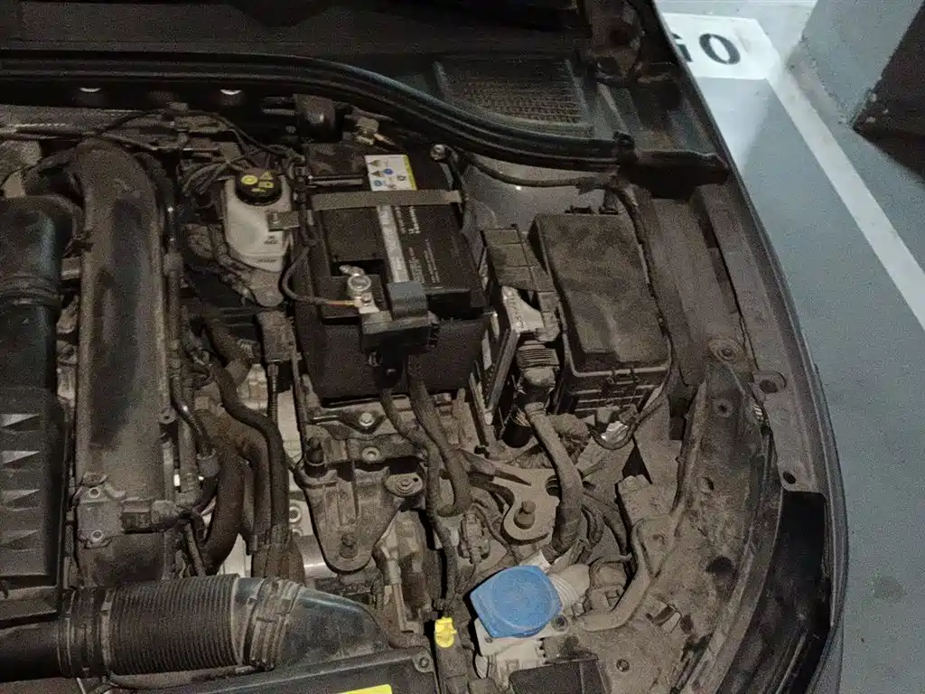 Volkswagen Golf 2021 280TSI DSG R-Line фото 23