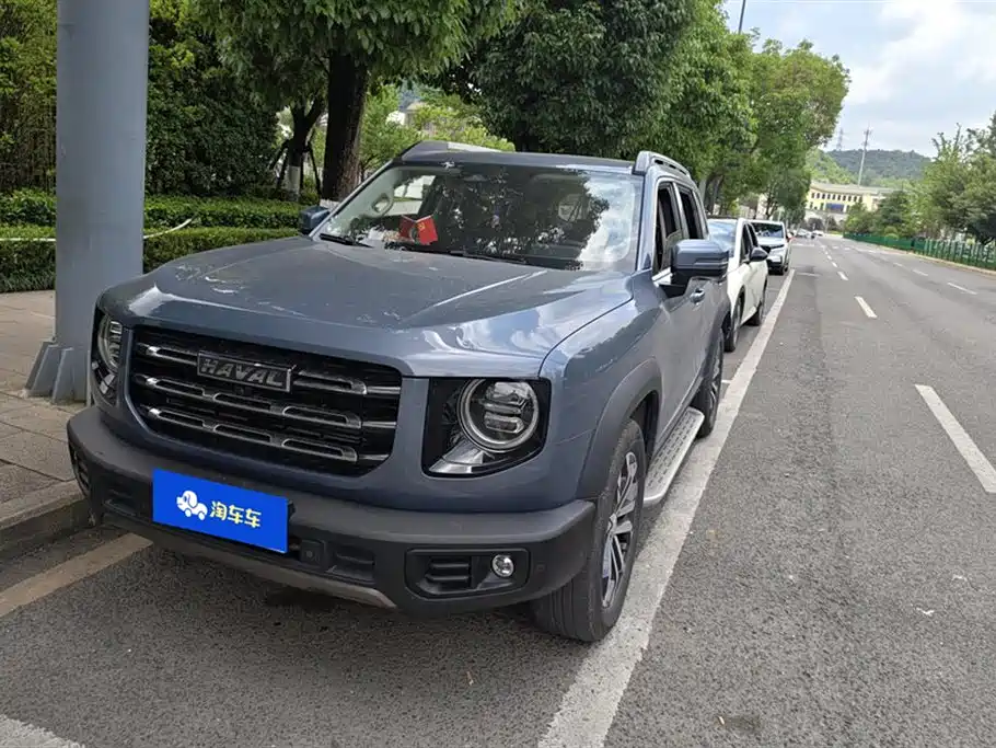 Haval Big Dog 2021 1.5T DCT 2WD Border Collie Edition