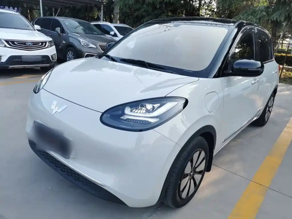 Wuling Motors Wuling Bingo 2024 333km Comfort Edition