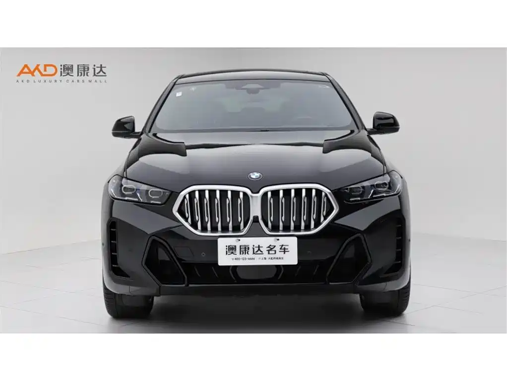 Фото 2 - BMW X6
