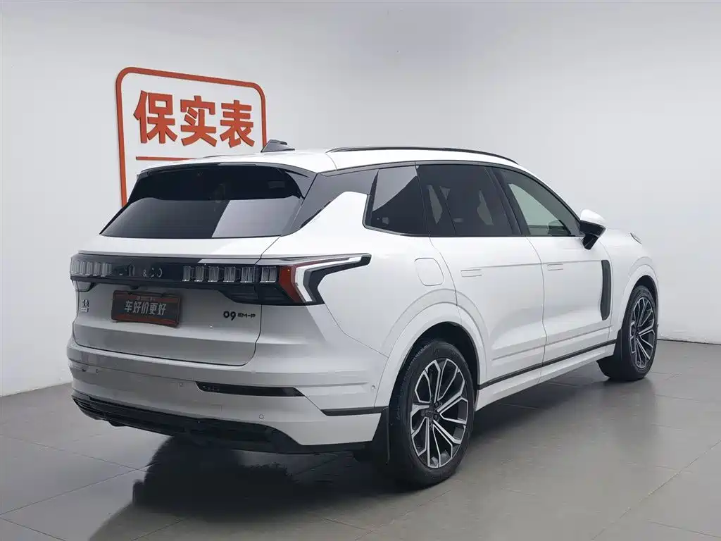 Lynk & Co 09 EM-P 2023 2.0TD EM-P Long Range PM 6-Seater фото 2