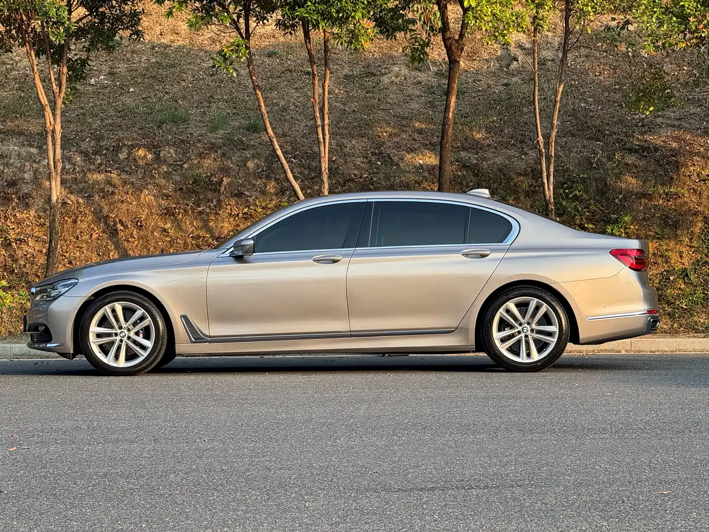 BMW 7 Series 2018 730Li Premium Type Excellence Package фото 6