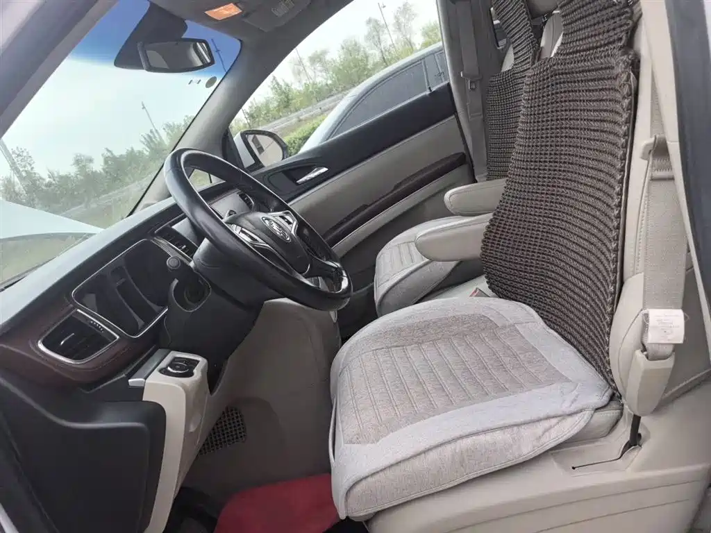 Buick GL8 2017 25S Premium Model China V фото 8