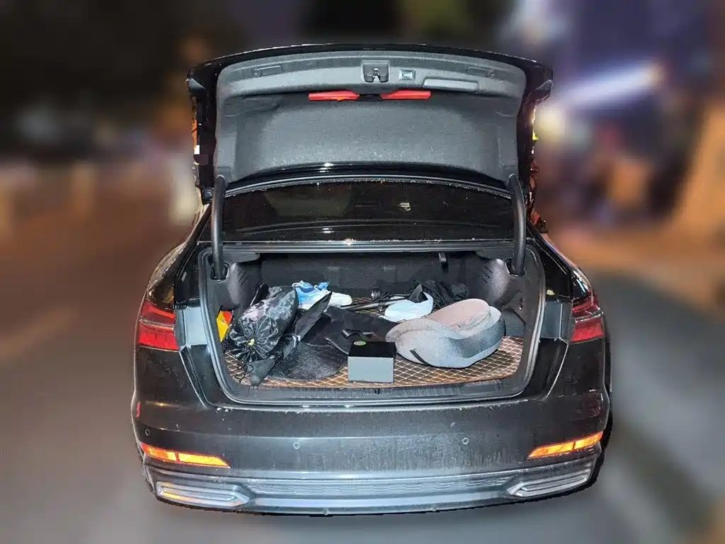 Audi A6L New Energy 2020 55 TFSI e quattro фото 20