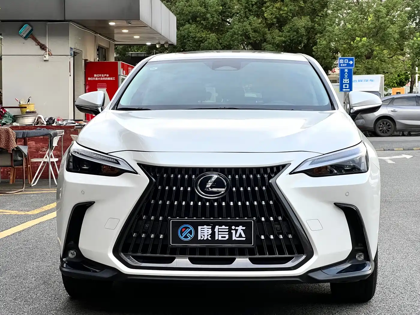 Lexus NX 2023 2023 260 FWD Joy Creation Edition