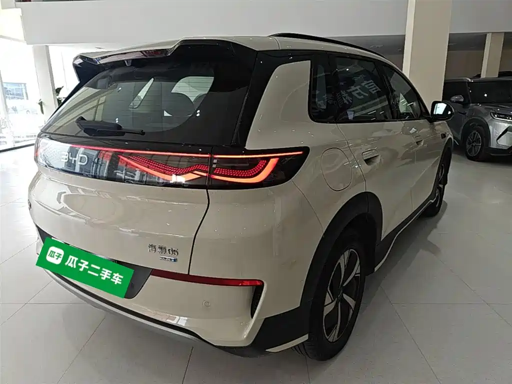 BYD Hai Shi 05 EV 2025 520KM Smart Navigation Edition фото 7