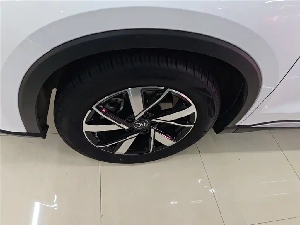 BYD Song Pro New Energy 2024 Glory Edition DM-i 71KM Pilot фото 23