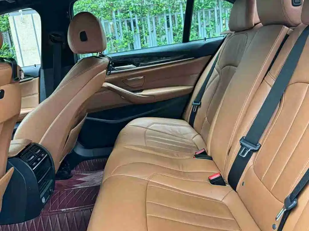 BMW 5 Series 2018 530Li Leading M Sport Package фото 10