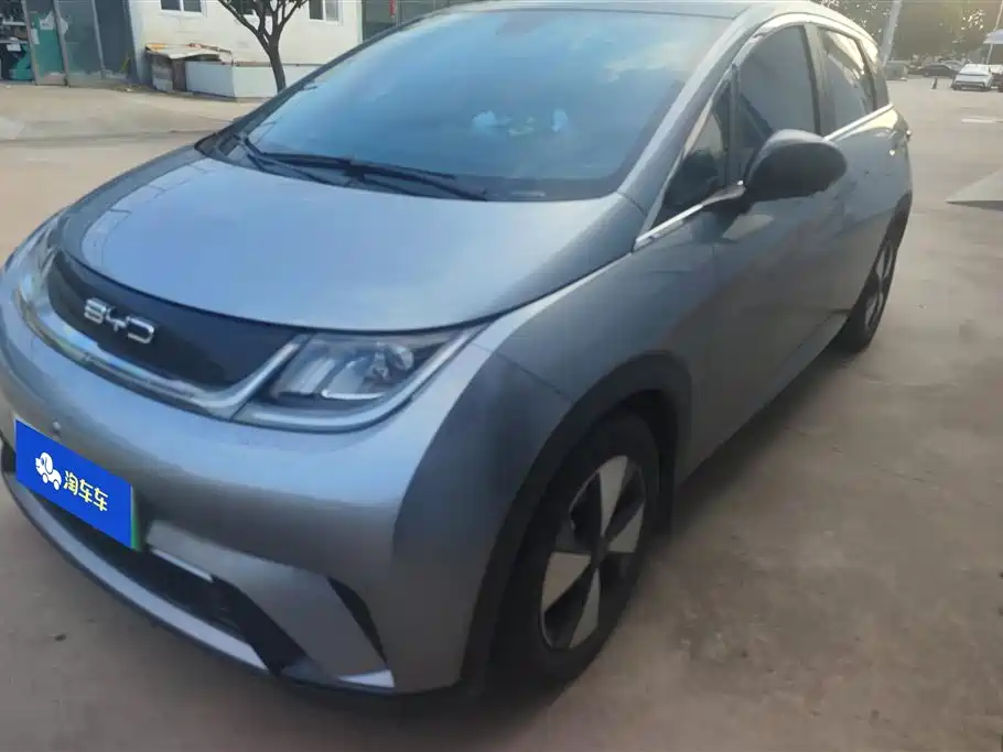  BYD Dolphin 2023 420km Fashion Edition
