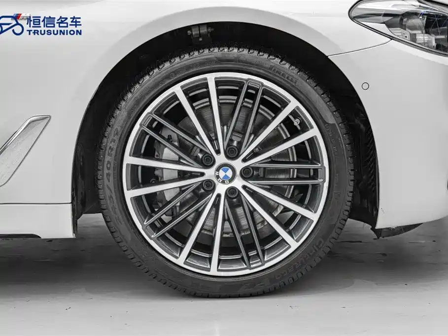 BMW 5 Series 2020 530Li Leading M Sport Package фото 11