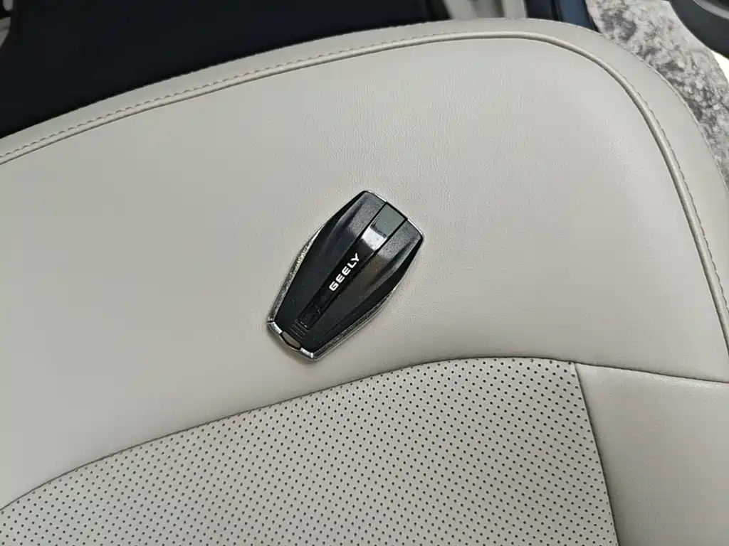 Geely Jiaji New Energy 2021 2021 ePro 1.5TD PHEV Leisure Edition
