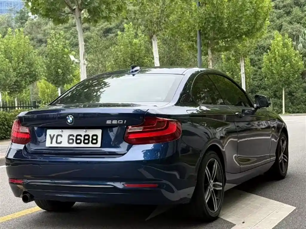BMW 2 Series (Import) 2014 220i Leading фото 6