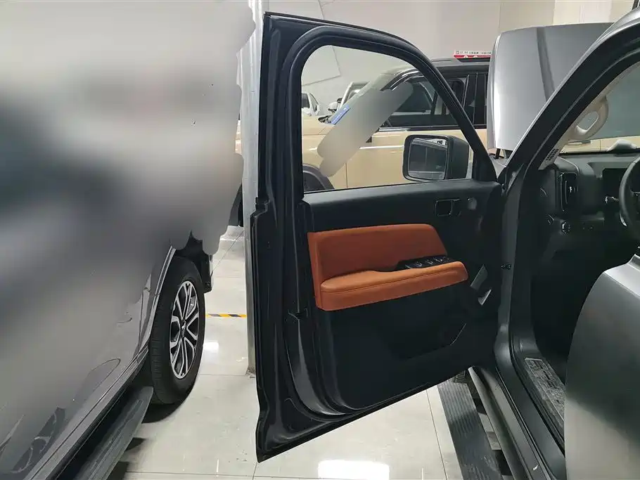 Haval H9 2024 2.0T Gasoline AWD Extreme Edition фото 7