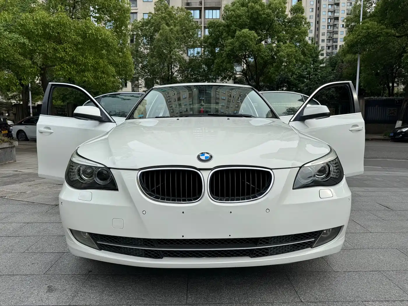 BMW 5 Series 2010 520Li Luxury фото 2