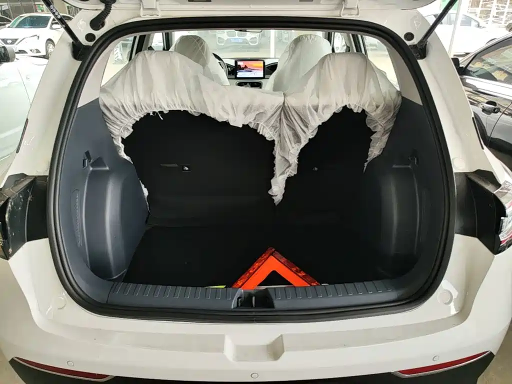 Geely Galaxy Starry Wish 2026 2026 Edition 310km Youth Version