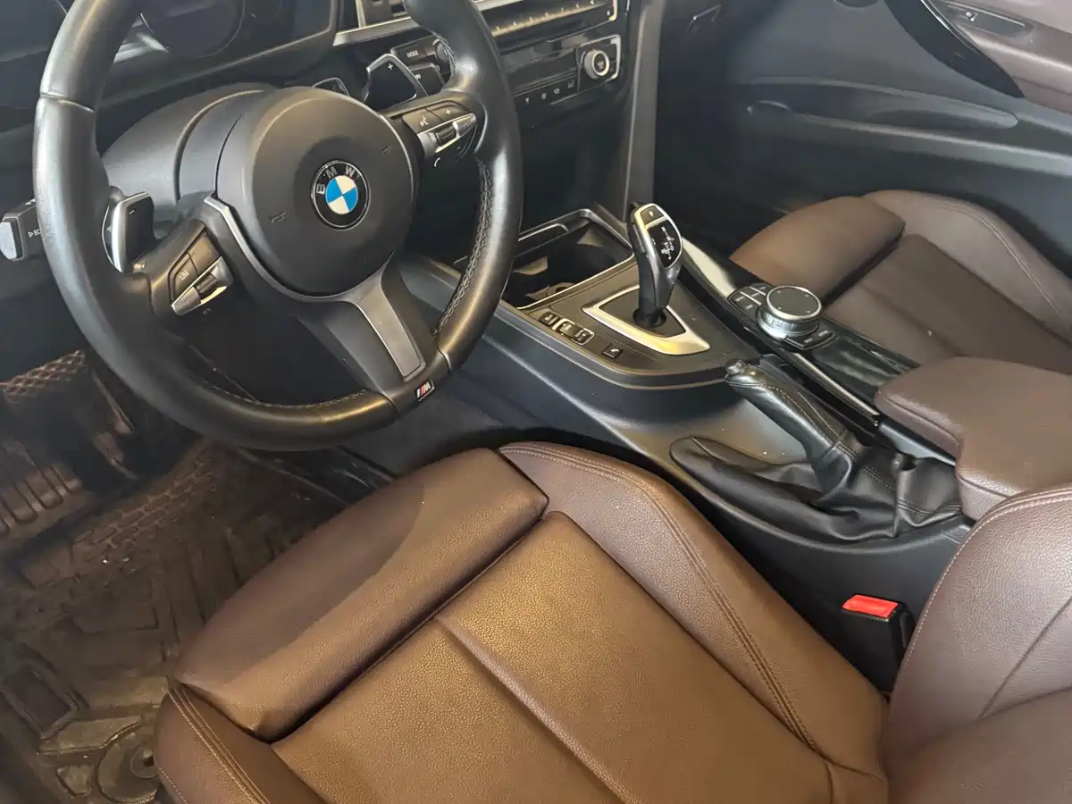 BMW 3 Series 2019 320Li M Luxury Package фото 7