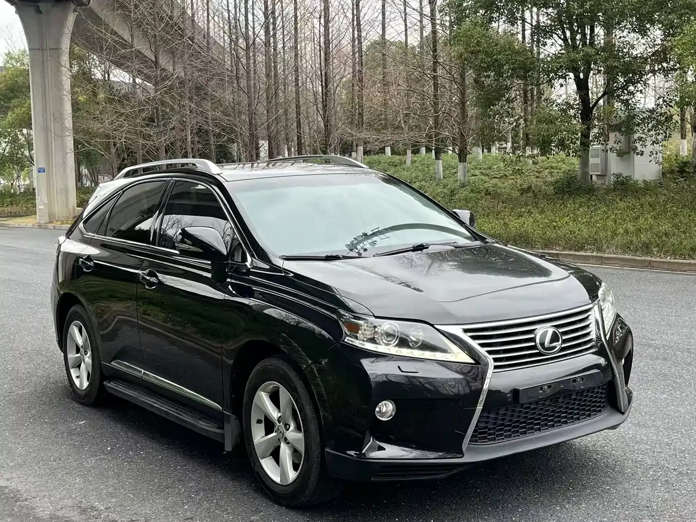 Lexus RX Classic 2013 270 Elite фото 3