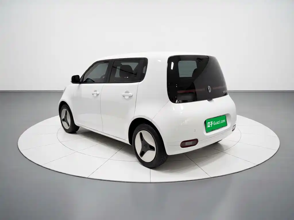 Ora White Cat 2020 2020 360km Luxury Model