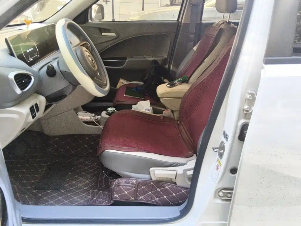 Ora White Cat 2020 2020 360km Luxury Model