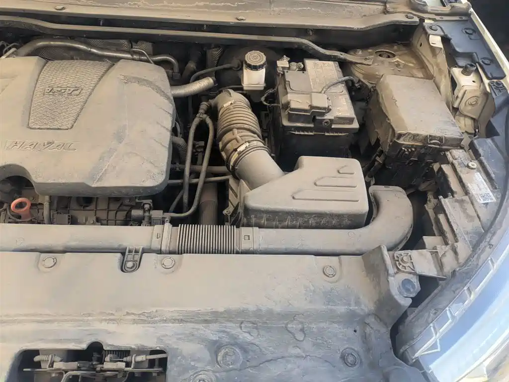Haval First Love 2021 1.5T Automatic Premium Edition фото 22