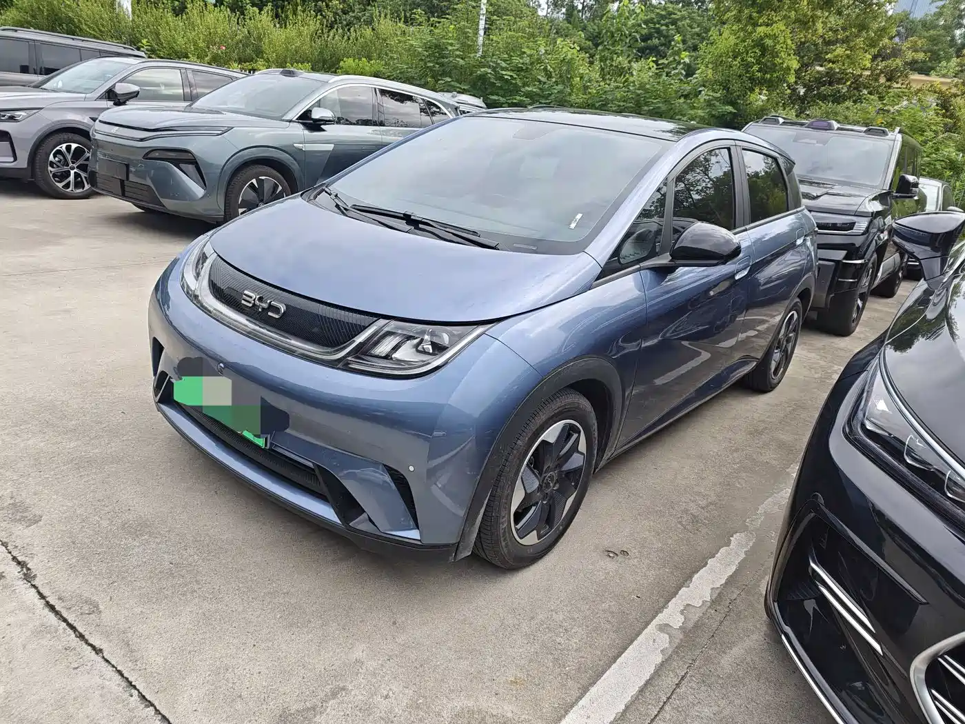 BYD Dolphin 2023