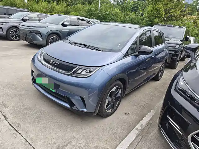BYD Dolphin 420km, Стиль