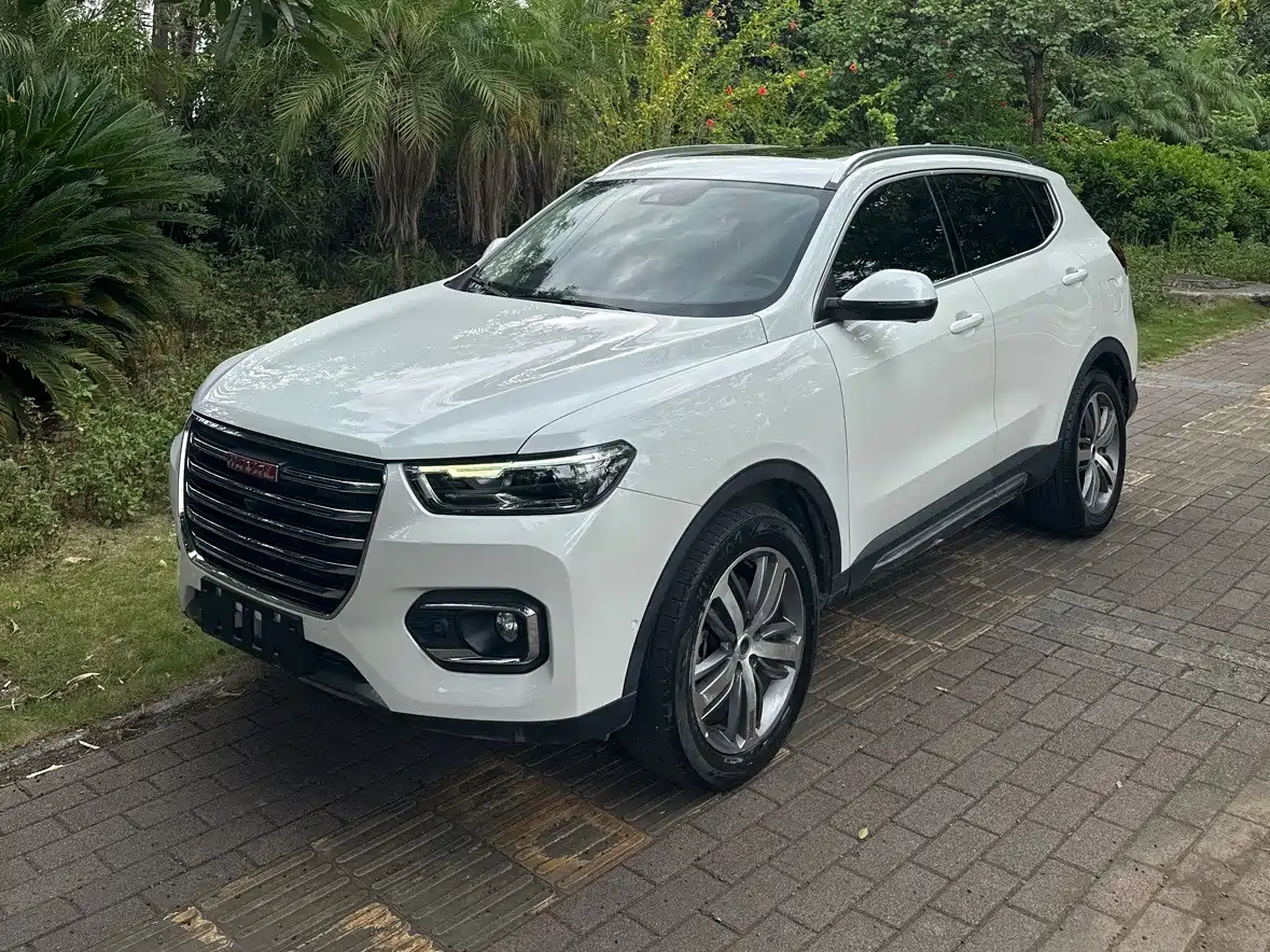 Фото 1 - Haval H6
