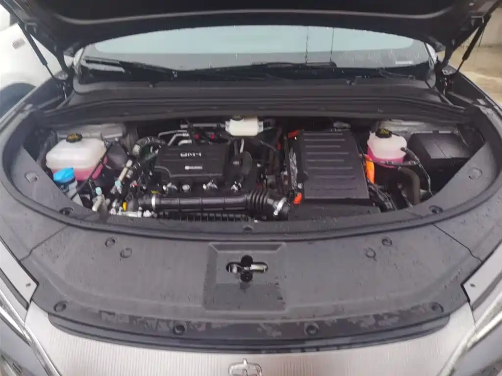 BYD Song L DM-i 2025 Smart Drive Edition 112km Surpassing фото 20