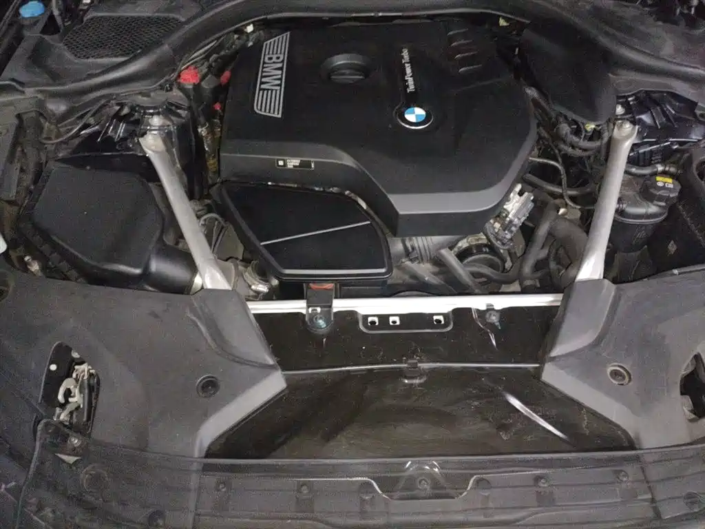 BMW 5 Series 2020 530Li Leading M Sport Package фото 21