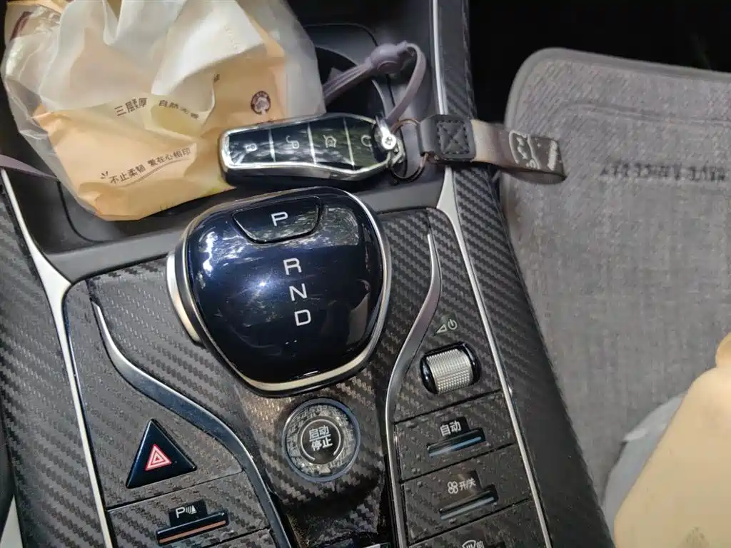 BYD Qin PLUS 2021 DM-i 55KM Flagship фото 9
