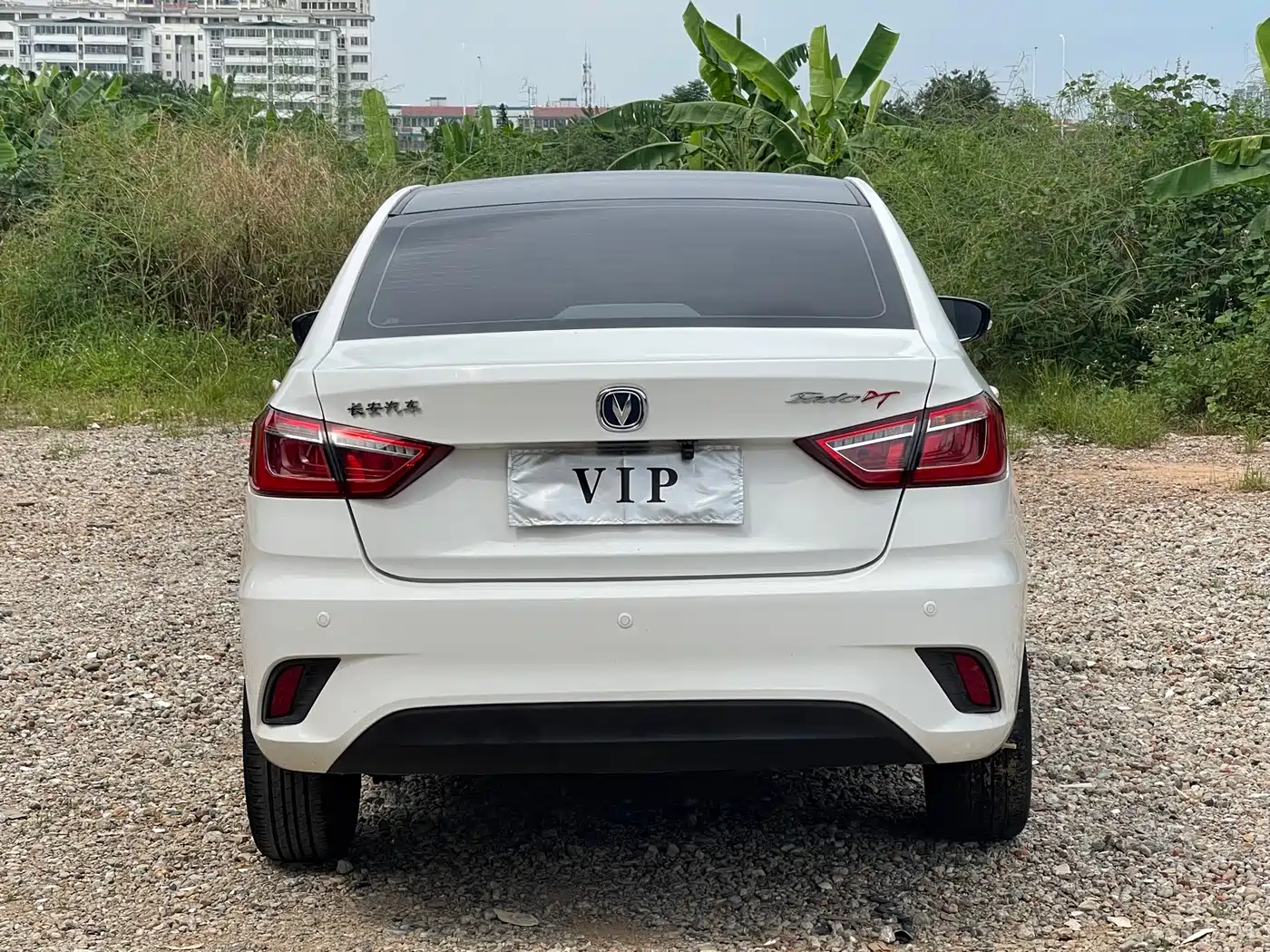 Changan Eado DT 2020 2019 1.6L Automatic Joy China VI