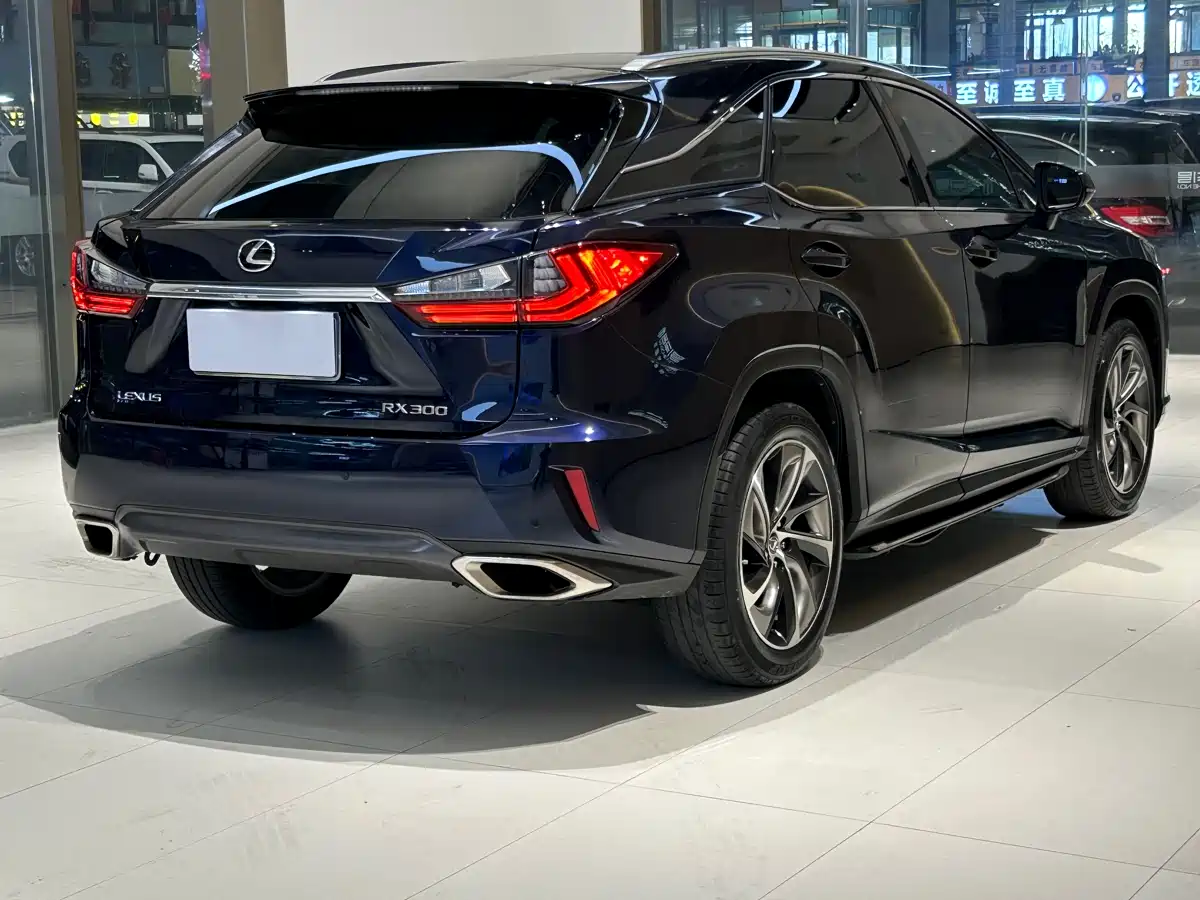 Lexus RX 2016 300 4WD Elegance Edition (China V) фото 5