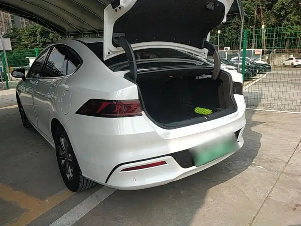 BYD Qin PLUS 2023 Champion Edition DM-i 55KM Leading фото 5