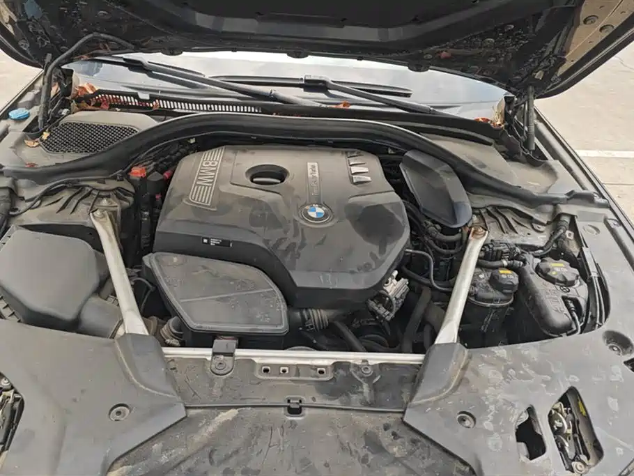BMW 5 Series 2019 Facelift 525Li M Sport Package фото 10