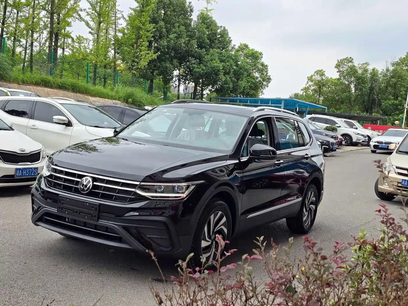 Volkswagen Tiguan L 2026 2025 Model 300TSI Auto 2WD Dragon Edition