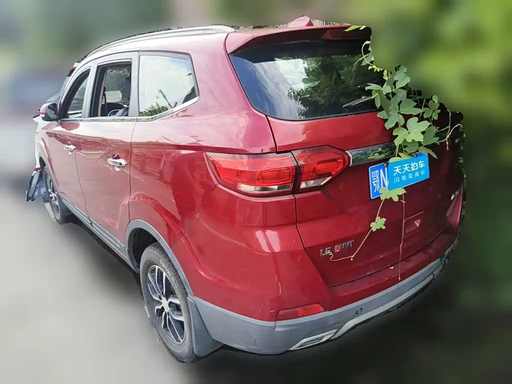 صورة 2 - Lifan Maiwei